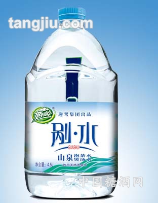 4.5L剮水