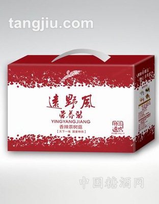 遠(yuǎn)野風(fēng)牌香辣茶樹菇禮品