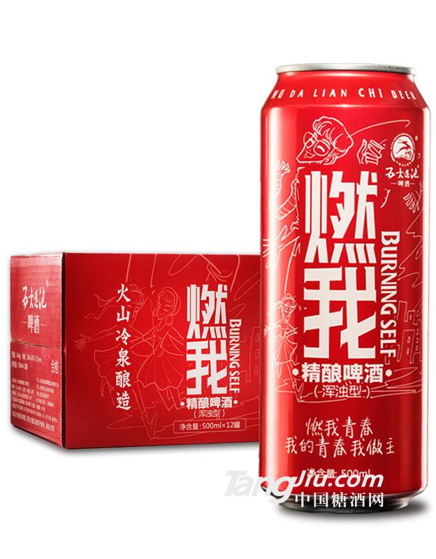 燃我精釀啤酒（渾濁型）500ml×12