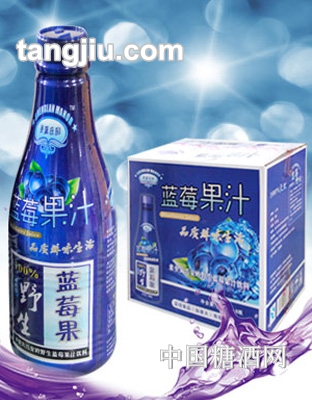 統(tǒng)球藍(lán)莓果汁飲料1.25L